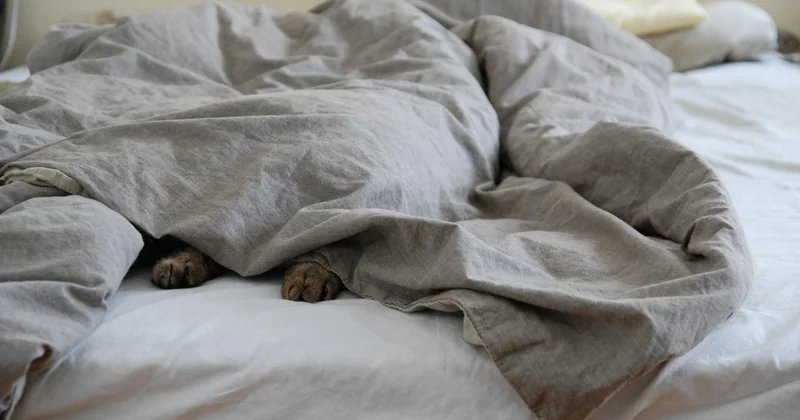 La règle du tombé : ce qu'on ne vous dit jamais sur la hauteur du matelas