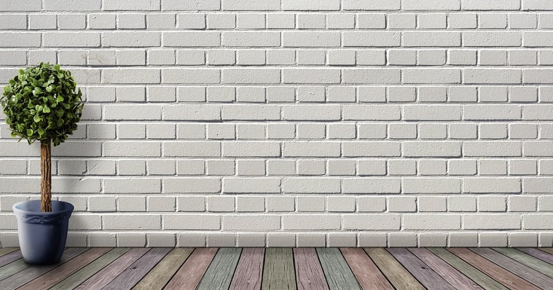Jardin d'appartement sans balcon : 12 astuces pour créer un coin de verdure